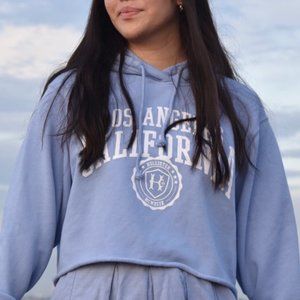 Hollister Cropped Hoodie